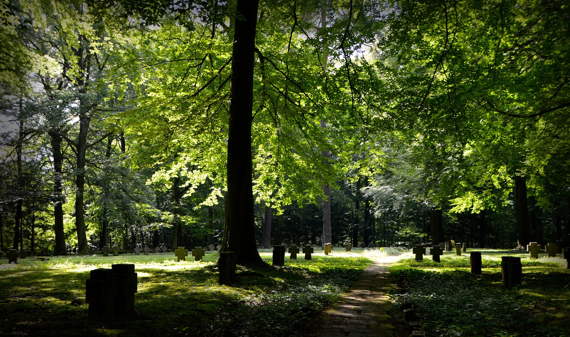 Servizi cimiteriali